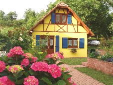Vue du Gite en Alsace et son verger depuis les hortensias